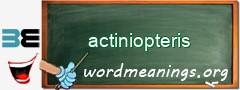 WordMeaning blackboard for actiniopteris